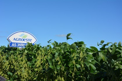 Dia de Campo sobre soja apresenta inovações e tecnologias