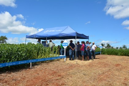 Dia de Campo sobre soja apresenta inovações e tecnologias