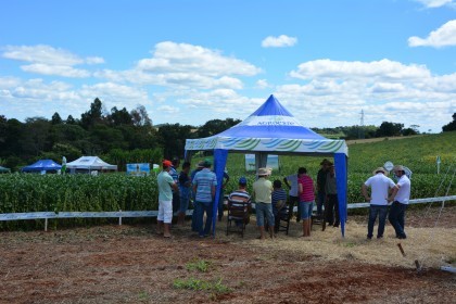Dia de Campo sobre soja apresenta inovações e tecnologias