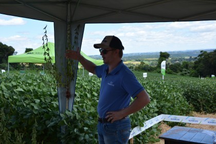 Dia de Campo sobre soja apresenta inovações e tecnologias
