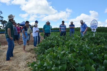Dia de Campo sobre soja apresenta inovações e tecnologias