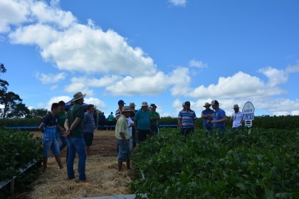 Dia de Campo sobre soja apresenta inovações e tecnologias