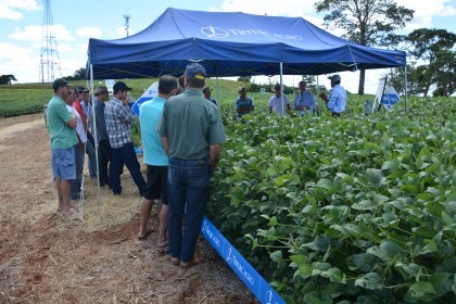Dia de Campo sobre soja apresenta inovações e tecnologias