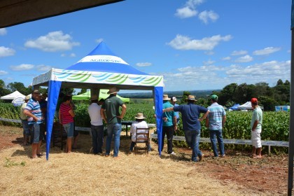 Dia de Campo sobre soja apresenta inovações e tecnologias