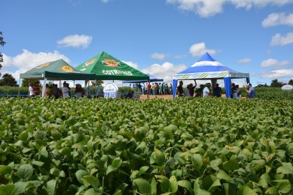 Dia de Campo sobre soja apresenta inovações e tecnologias