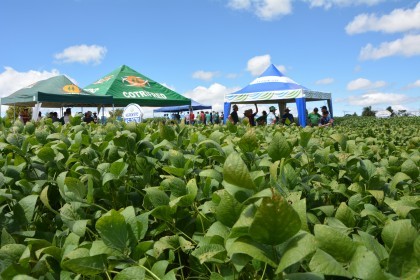 Dia de Campo sobre soja apresenta inovações e tecnologias