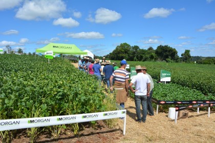 Dia de Campo sobre soja apresenta inovações e tecnologias