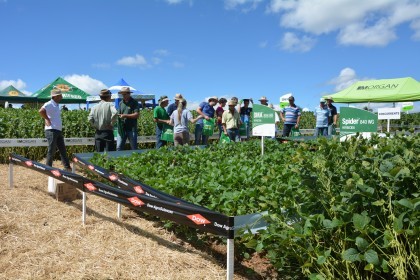 Dia de Campo sobre soja apresenta inovações e tecnologias
