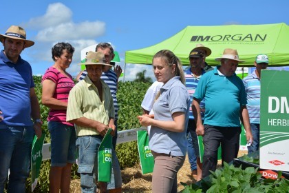 Dia de Campo sobre soja apresenta inovações e tecnologias