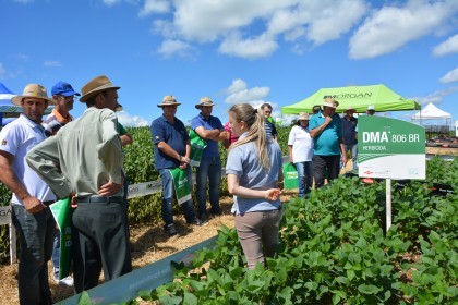 Dia de Campo sobre soja apresenta inovações e tecnologias