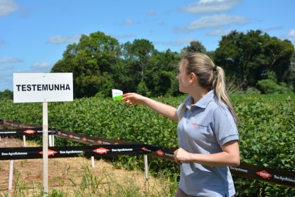 Dia de Campo sobre soja apresenta inovações e tecnologias