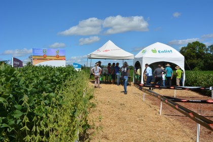 Dia de Campo sobre soja apresenta inovações e tecnologias