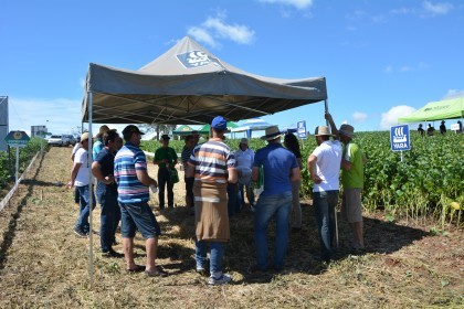 Dia de Campo sobre soja apresenta inovações e tecnologias