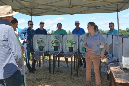 Dia de Campo sobre soja apresenta inovações e tecnologias
