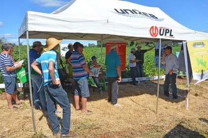 Dia de Campo sobre soja apresenta inovações e tecnologias