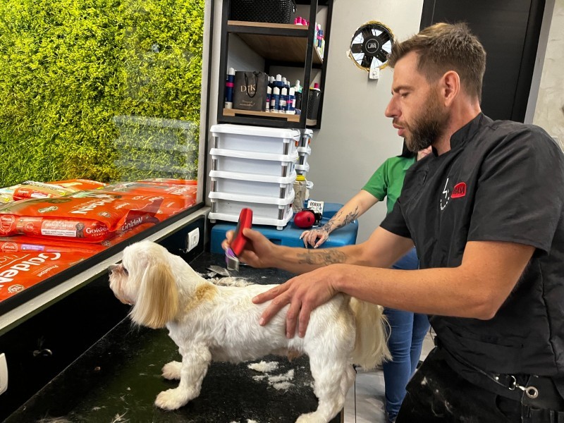 Equipe da Cotripet recebe treinamento em tosa