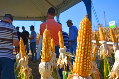 Evento Morgan em Campo é realizado