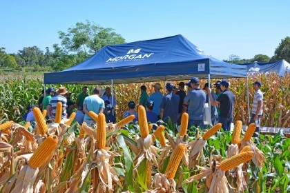 Evento Morgan em Campo é realizado