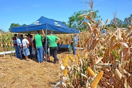 Evento Morgan em Campo é realizado