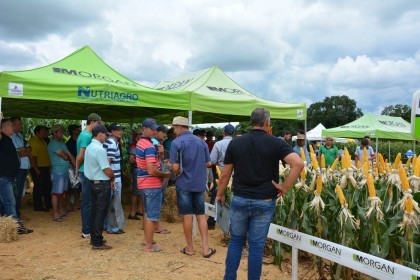 III Dia de Campo sobre milho é realizado
