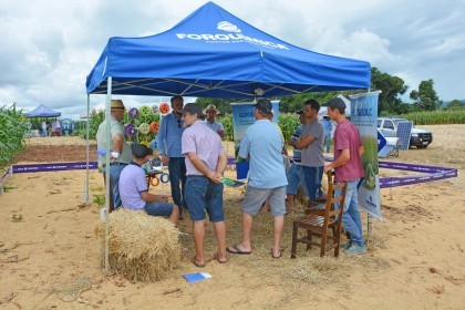 III Dia de Campo sobre milho é realizado