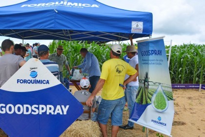 III Dia de Campo sobre milho é realizado