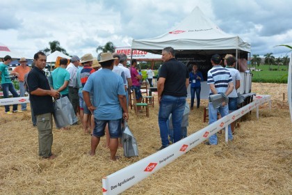 III Dia de Campo sobre milho é realizado