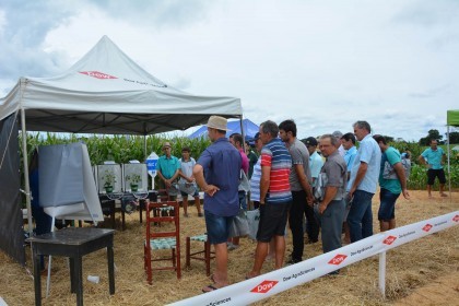 III Dia de Campo sobre milho é realizado