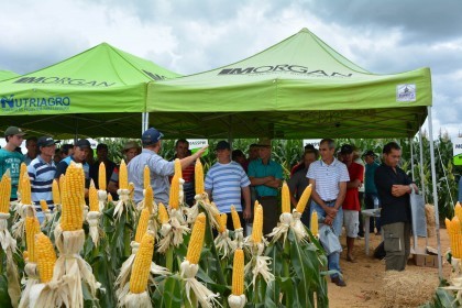 III Dia de Campo sobre milho é realizado