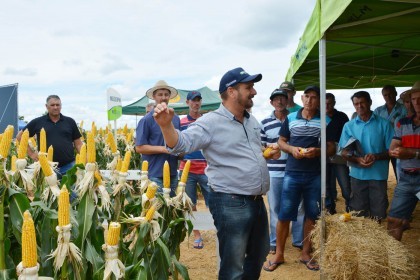 III Dia de Campo sobre milho é realizado