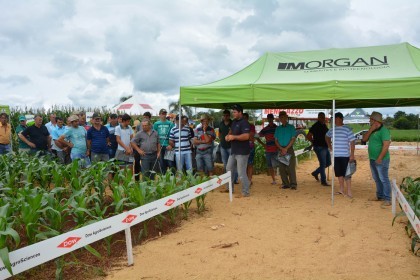 III Dia de Campo sobre milho é realizado
