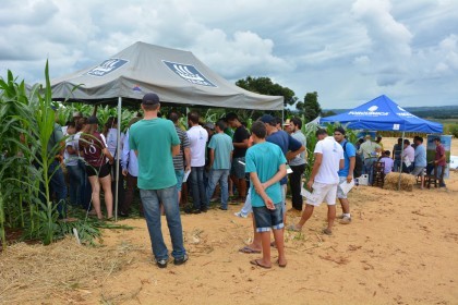 III Dia de Campo sobre milho é realizado