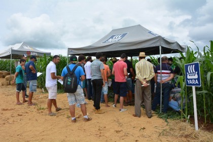III Dia de Campo sobre milho é realizado