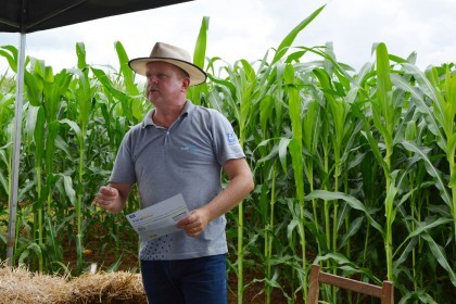 III Dia de Campo sobre milho é realizado