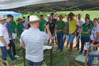 III Dia de Campo sobre milho é realizado