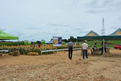 III Dia de Campo sobre milho é realizado