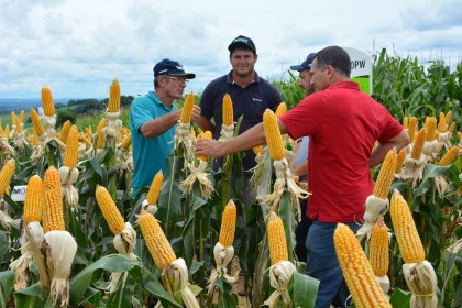 III Dia de Campo sobre milho é realizado