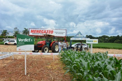 III Dia de Campo sobre milho é realizado