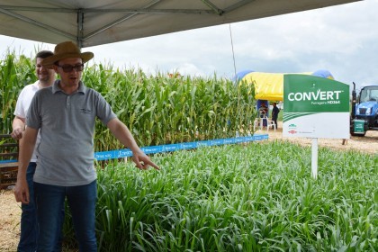 III Dia de Campo sobre milho é realizado