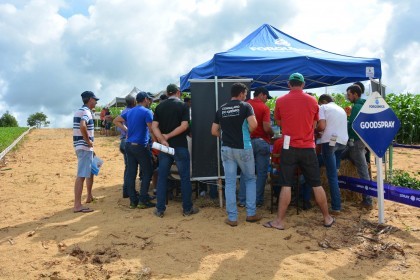 III Dia de Campo sobre milho é realizado