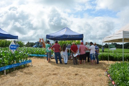 III Dia de Campo sobre milho é realizado