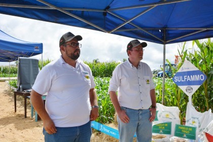 III Dia de Campo sobre milho é realizado
