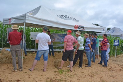 III Dia de Campo sobre milho é realizado