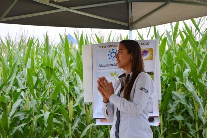 III Dia de Campo sobre milho é realizado