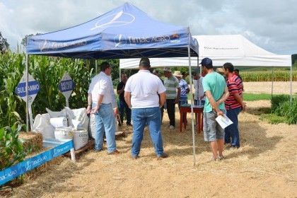 III Dia de Campo sobre milho é realizado