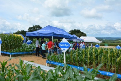 III Dia de Campo sobre milho é realizado