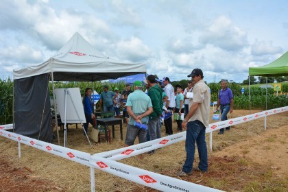 III Dia de Campo sobre milho é realizado