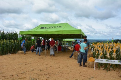 III Dia de Campo sobre milho é realizado