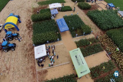 III Dia de Campo sobre milho é realizado