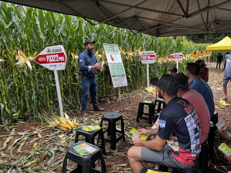 Iraí sedia Tarde de Campo e reúne produtores ligados a Cotrifred
